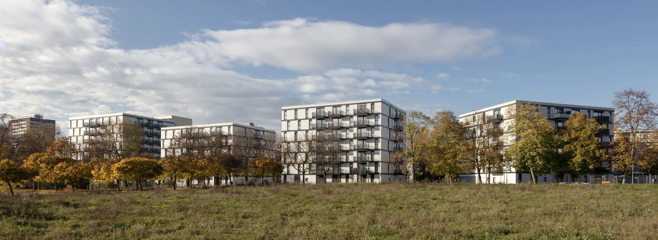 Housing - Overall view