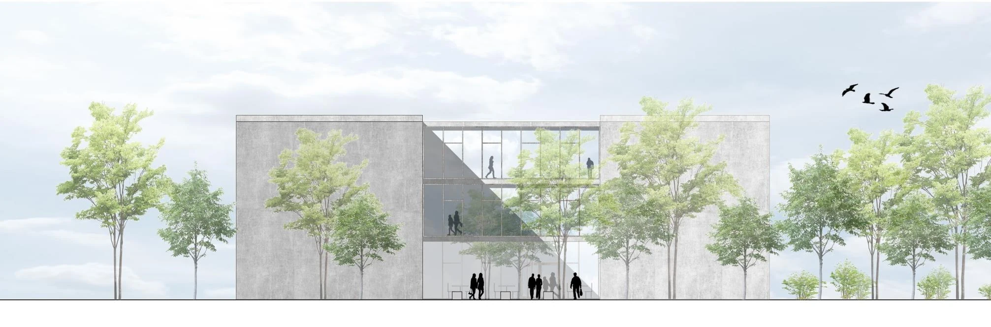Elevation - Competition proposal