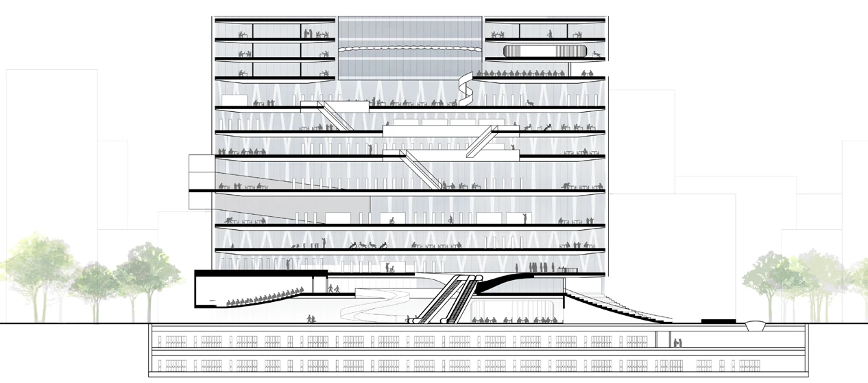 Section - Library and landscape