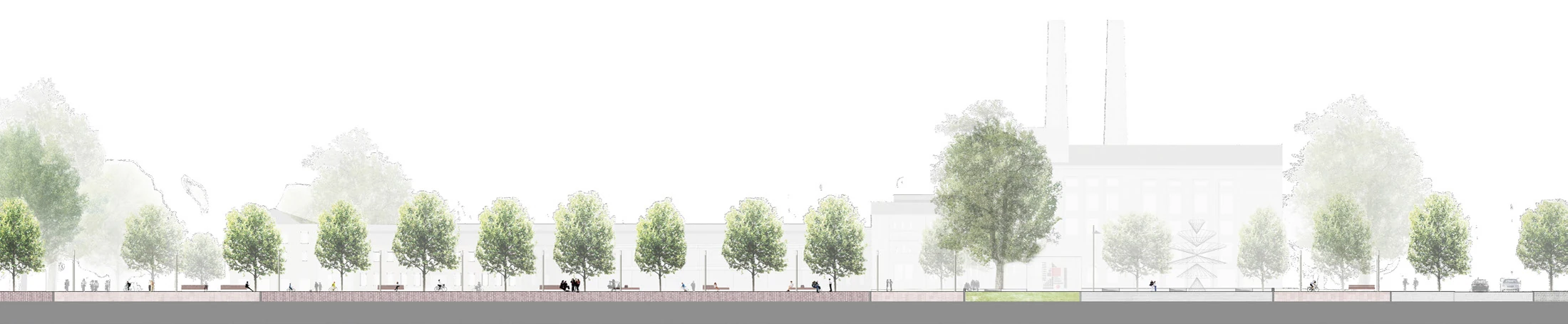 Section - Campus avenue and tree planting